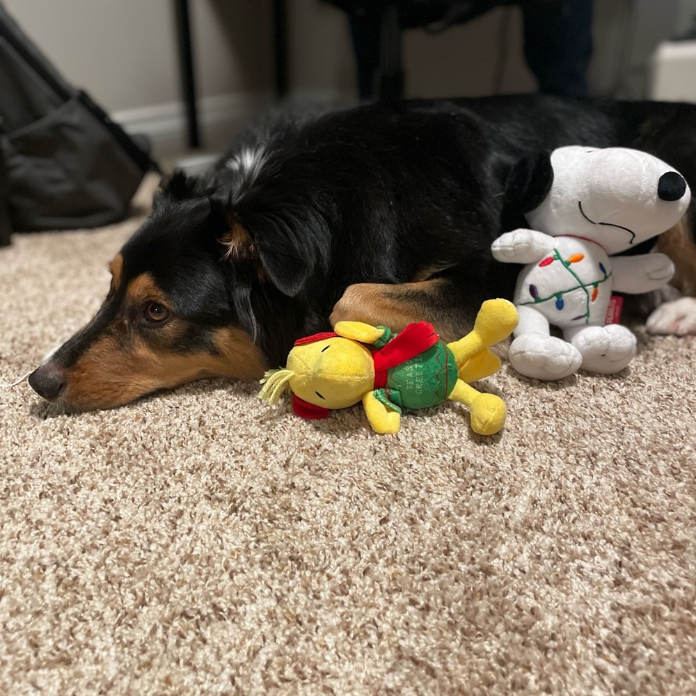 Faye’s toys
